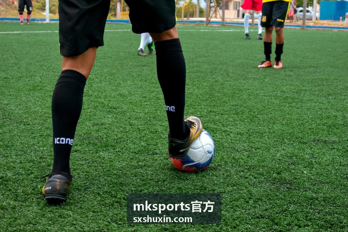 mksports官方企业体育解决方案