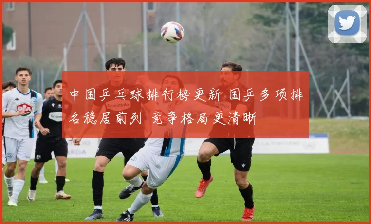 中国乒乓球排行榜更新 国乒多项排名稳居前列 竞争格局更清晰