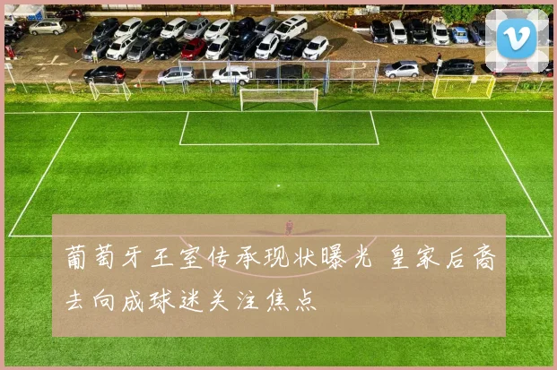 葡萄牙王室传承现状曝光 皇家后裔去向成球迷关注焦点