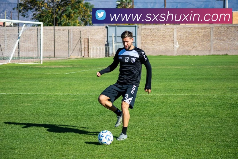 世界杯官方网络平台平台生态图