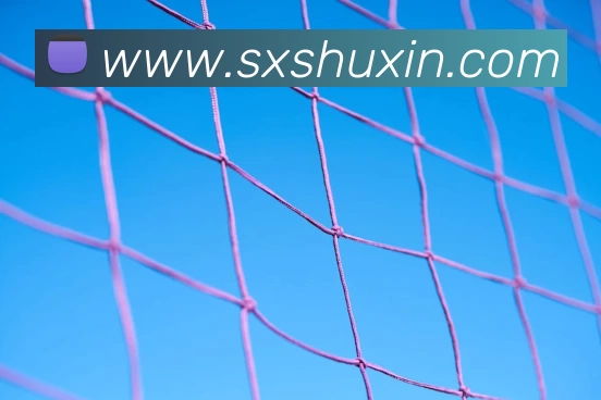 世界杯官方网络平台APP 封面图